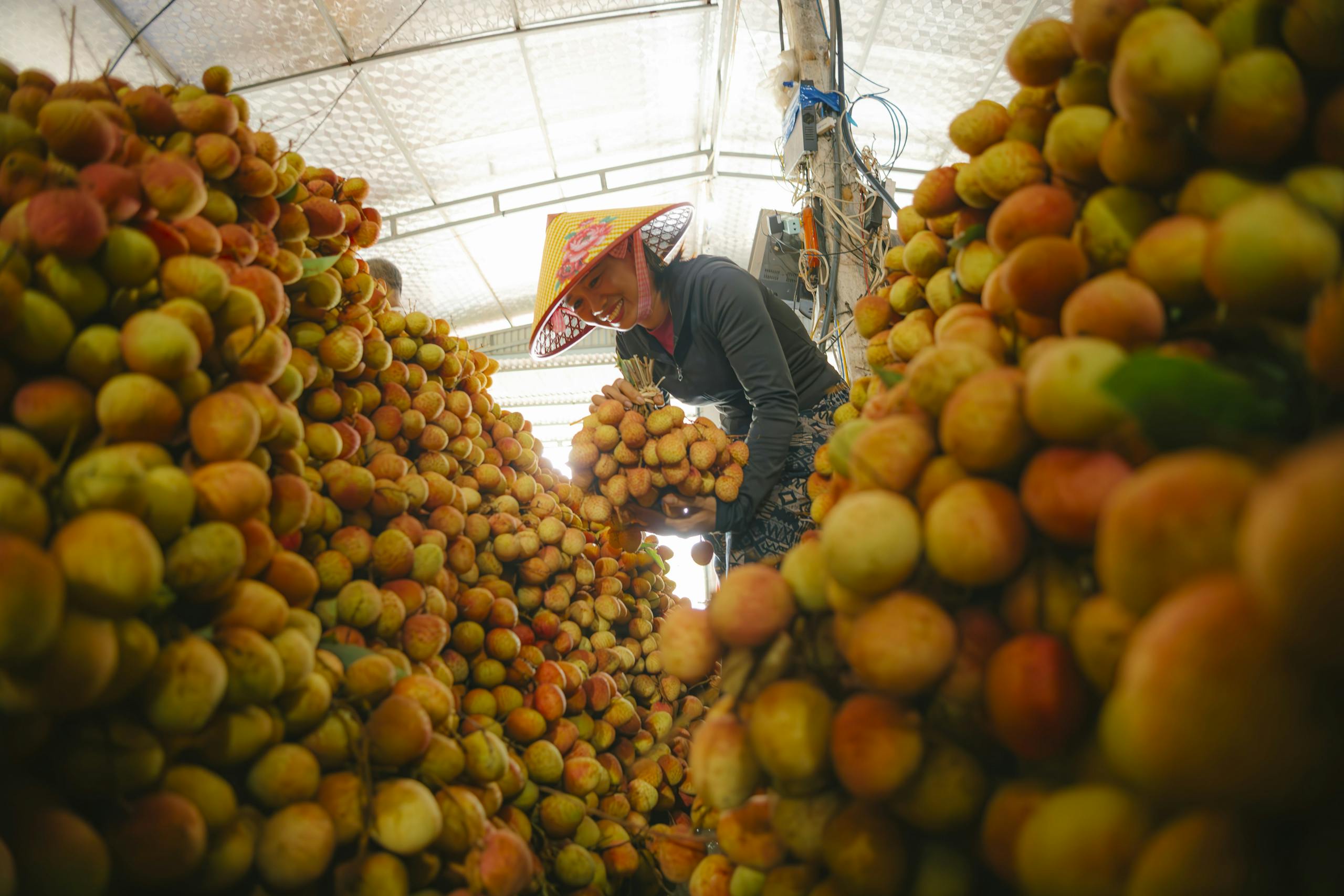 A vibrant scene of a worker organizing lychees in a sunlit indoor market setting.